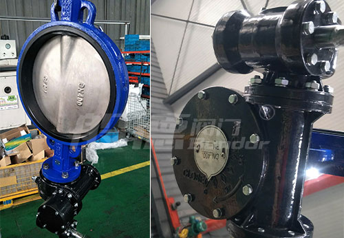 般德蝶閥、蝶式止回閥等出口秘魯